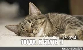 1bc8eaad77fa6e428361d.webp