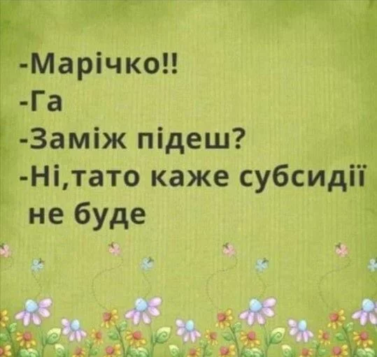1bchfg.webp