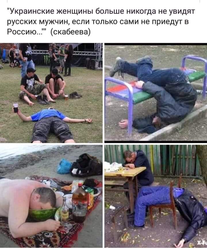 1bdbcf.jpg