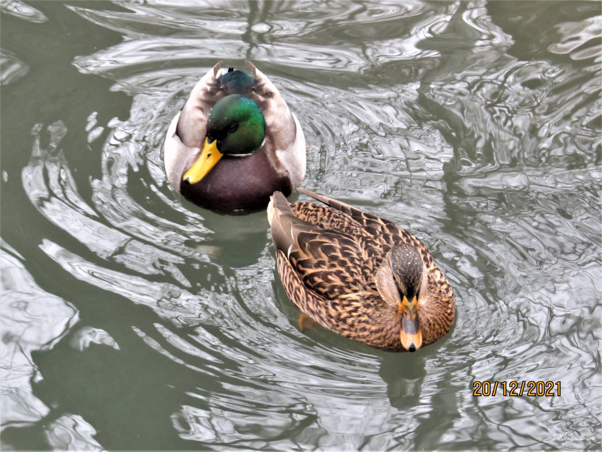 1bdd0792d61a3554df.jpg