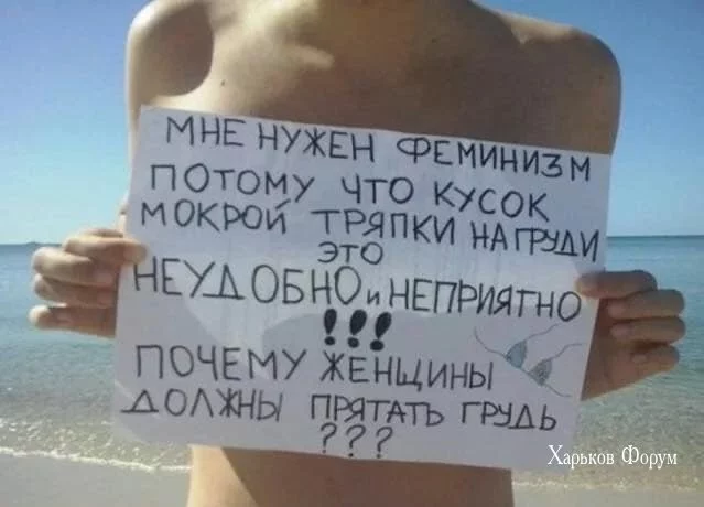1be96639f9ebfddd0a.webp