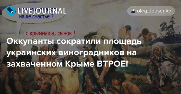 1beejc.webp