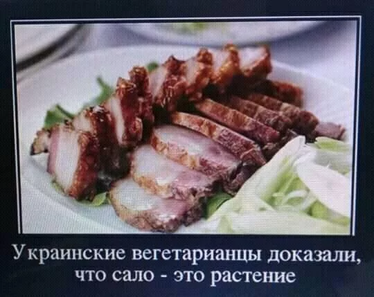 1behcc.webp