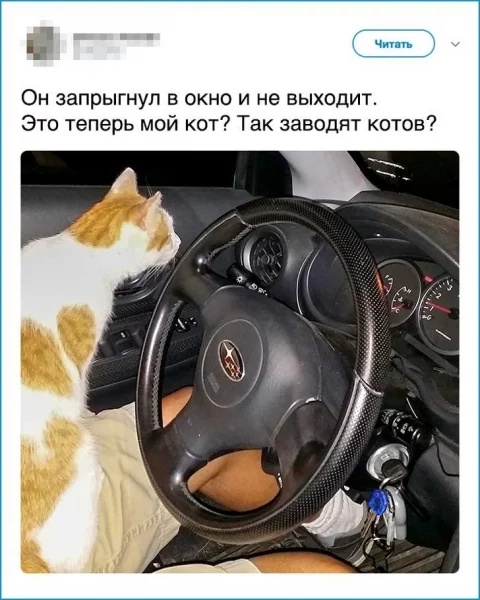 1bfdbg.webp