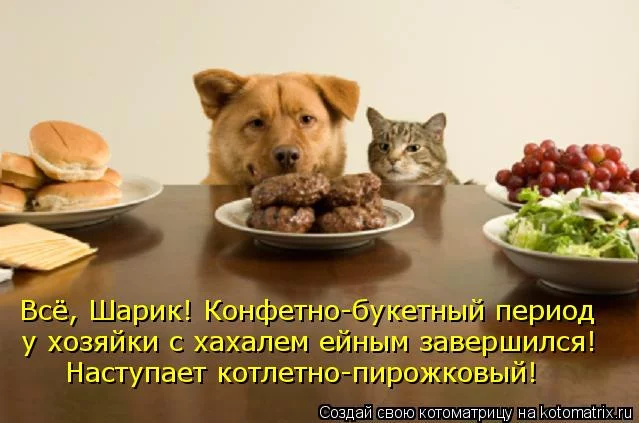 1bgfac.webp