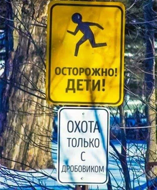 1bjjeh.webp