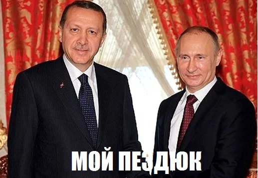 1bnZDJ6_KgE.webp