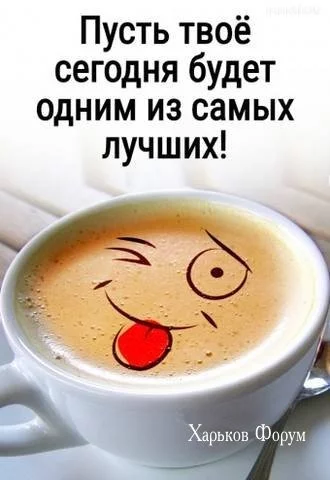 1c09ad0e4bab101f15046.webp