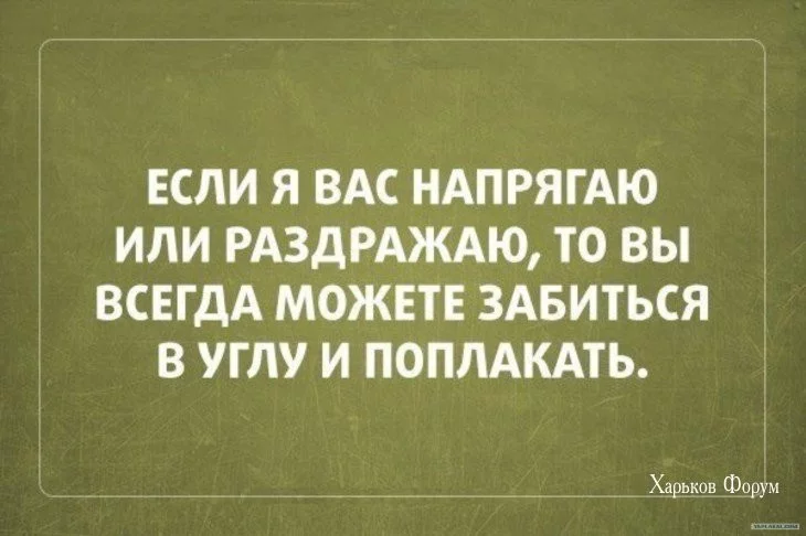 1c0a212f8245455f18910.webp