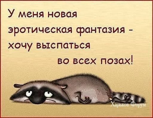 1c231324d5f7d73b5ce43e.webp