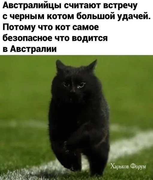 1c3dcac0d55d83753914f.webp