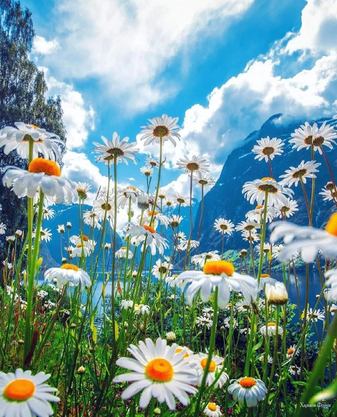 1c3f98f54202333df9ba.webp