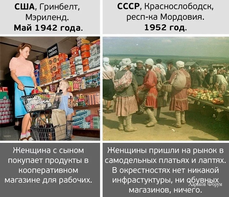 1c505a22b5ac971bbedc2c.webp