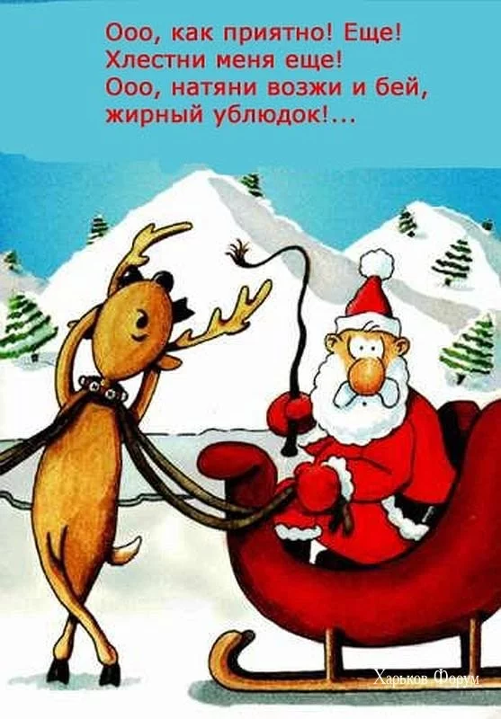 1c56cd4d7445163103.webp