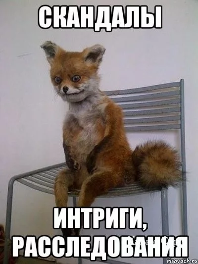 1c7398b58f7b1f70aa59.webp