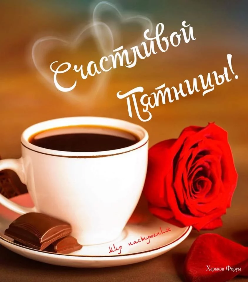 1c742472449751b1f2397efa.webp