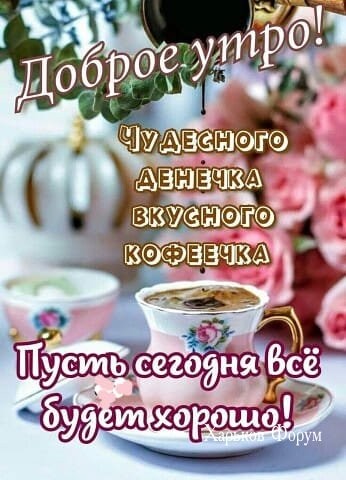 1c80f377b8a2528f.jpg