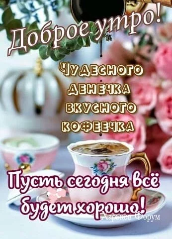 1c80f377b8a2528f.webp