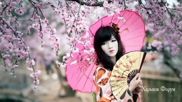 1c9039fff9162226716.webp