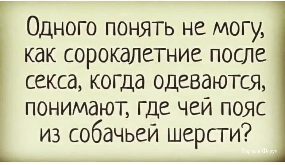 1cac9827f66e4e1c55e343.webp
