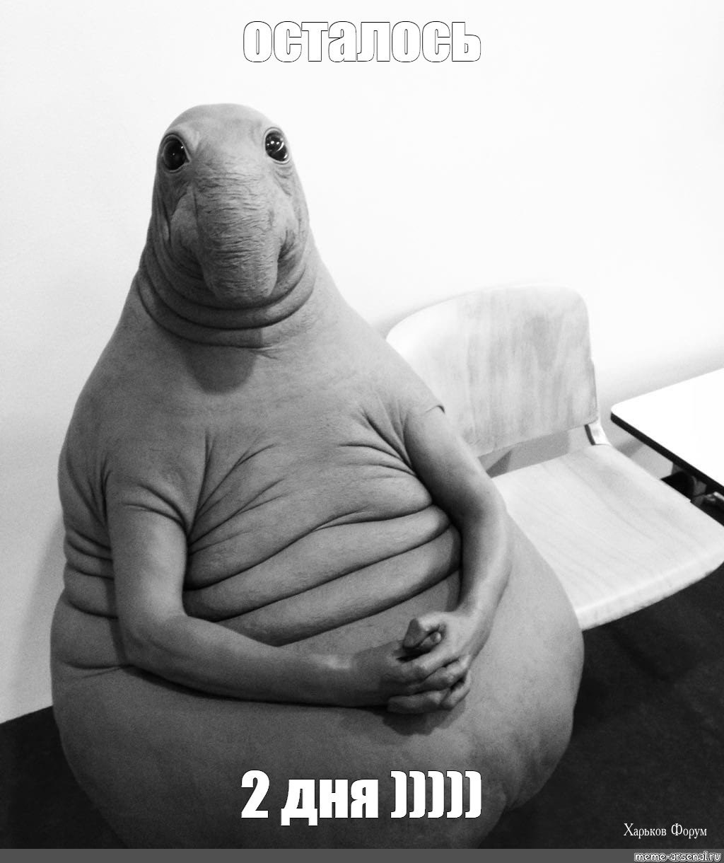 1cae4bfbf6c1b41cd789.jpg