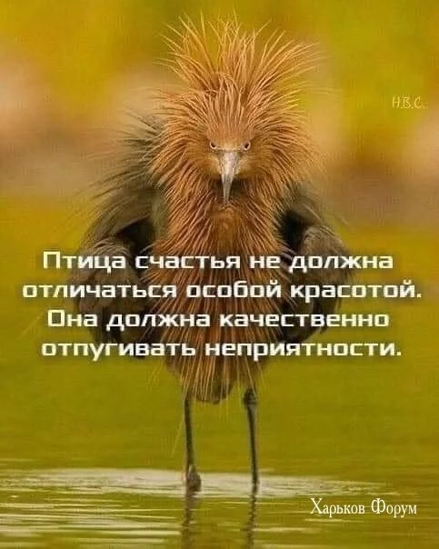 1caee5d8249e7a39d1198.webp