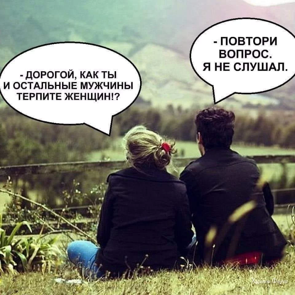 1cbcf44904cc350c3e44.webp
