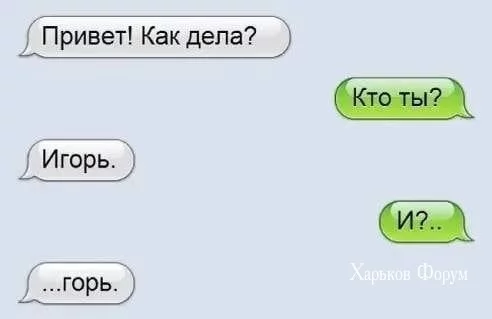 1cbd9a9be941fb730d923.webp