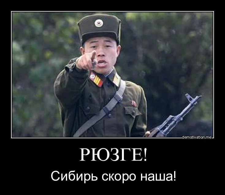 1cbebb.webp