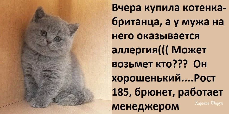 1cd398c1f40eefbce.webp