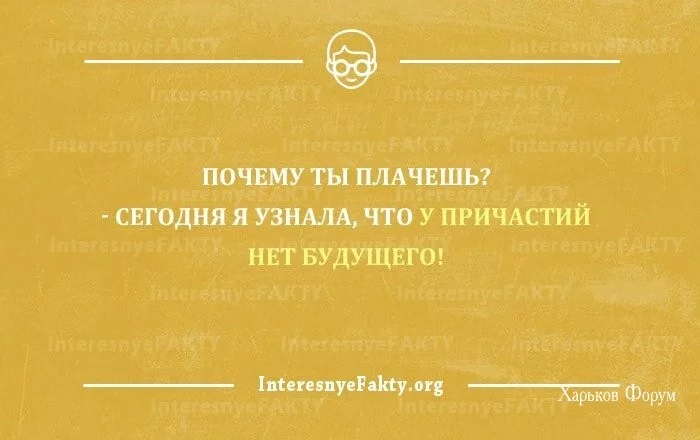 1cd8e4423195de8fd02df11.webp