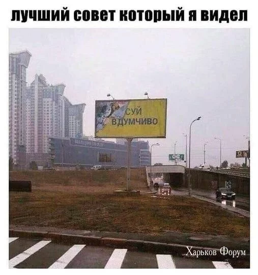 1ce9fe712c472d46dcba.webp