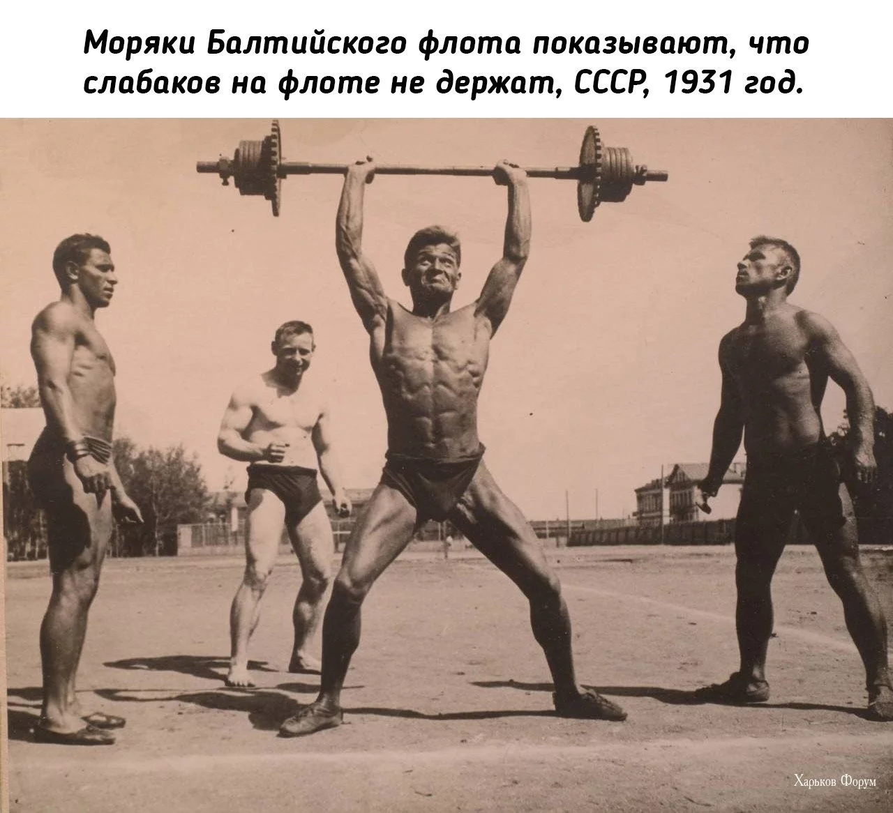 1ceaa62f625562867e8c76.webp