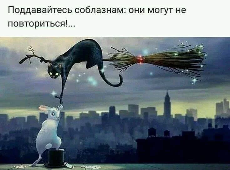 1cfadf.webp