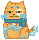 1cfbgd.webp
