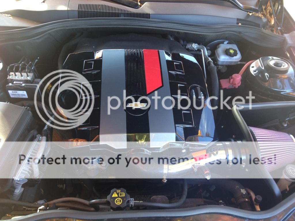 1CFFF972-DE23-49DB-BE49-C65655D3F3DE_zpsewqb5ejp.jpg