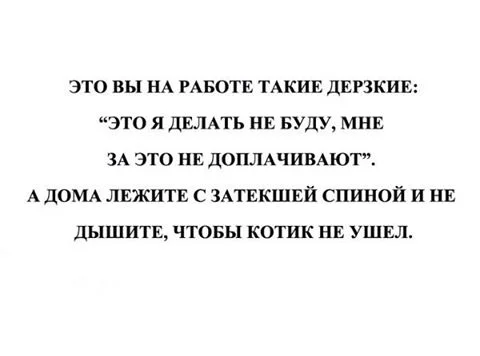 1cgbag.webp