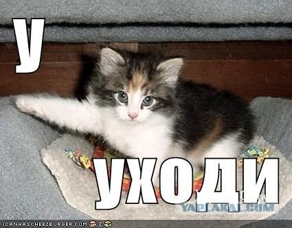 1d06daeb6695d1634505ce.jpg