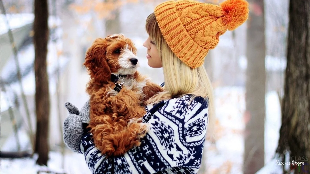 1d0cd59a27977df8ba2f1.webp