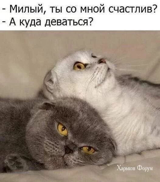 1d270a804f51587b.webp