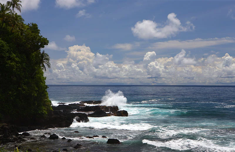 1D2Y2078.webp
