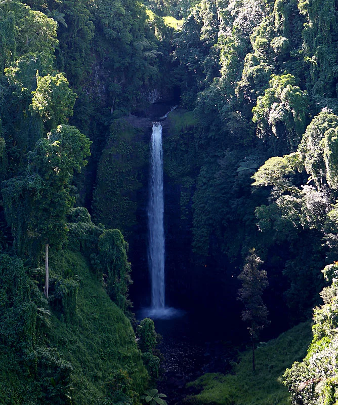 1D2Y2119.webp