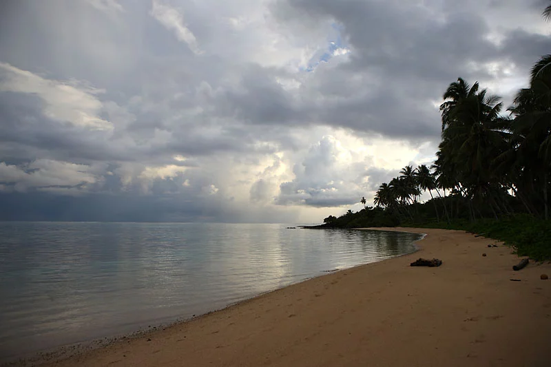 1D2Y2144.webp