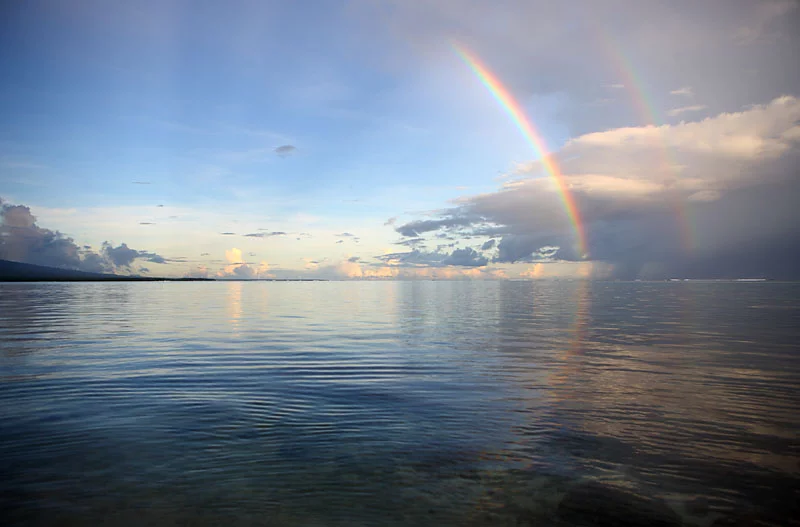 1D2Y2150.webp