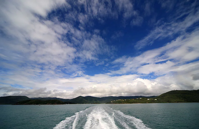 1D2Y2914.webp