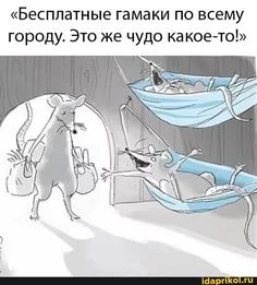 1d3d69c28a8d86c27f4354c6dd2211c0.webp