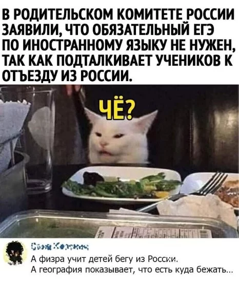 1d584369667a19109aa.webp