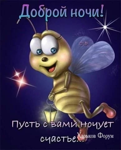 1d6ac70f688faeaeff9c.webp