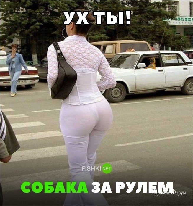 1d6ca2aff5d97d2a38d56.jpg
