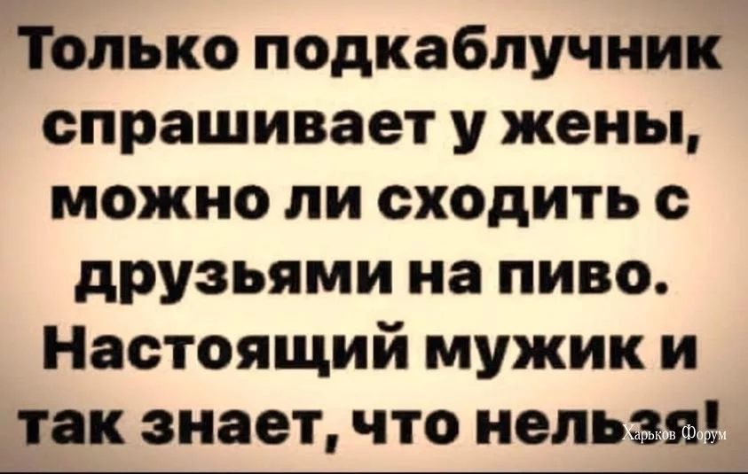 1d708c5a2bfcc19c98a71.webp